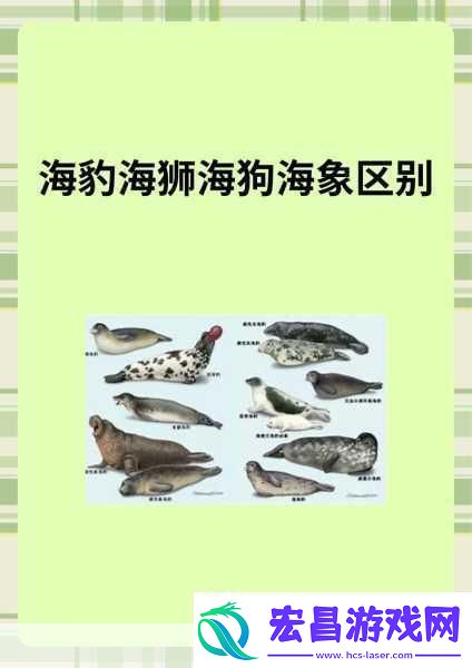 AAAA级毛皮最火的一句透露了中文社区开放信息深度解析AAAA级毛皮在中文社区的热潮与趋势