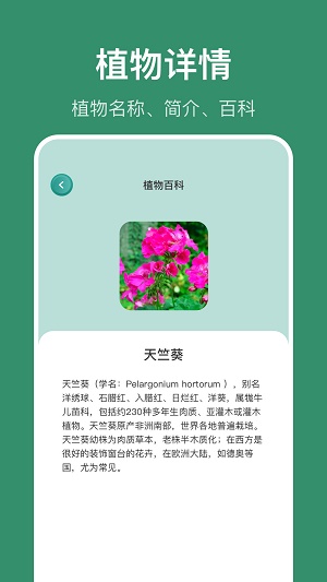 花仙识花草APP最新版