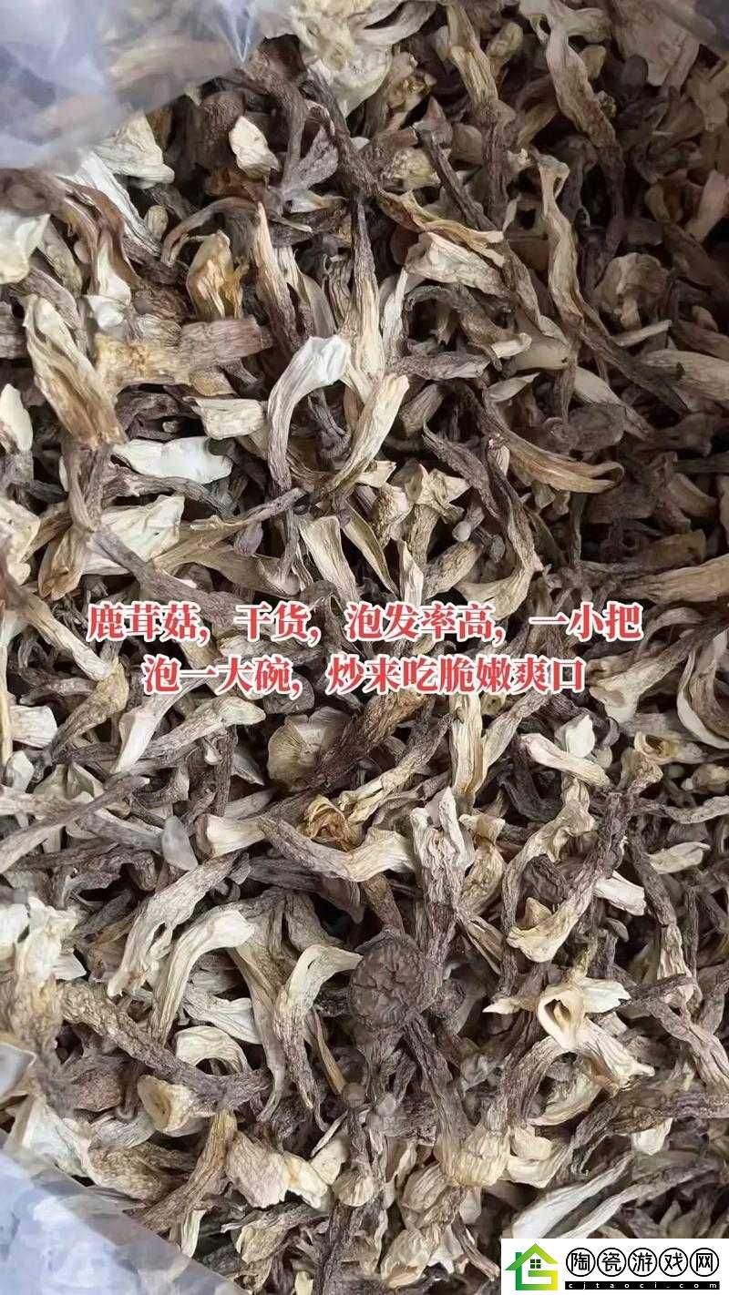 广州一家吃蘑菇后续结果如何